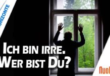 Ich bin irre – wer bist du? – Milan Kafka