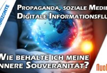 Entwicklung der Inneren Souveränität – Dr. Hans Hein