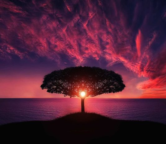 Körper Seele Geist System komplett pushen! Ein Meisterstück, dass das eigene Leben ungemein bereichert!