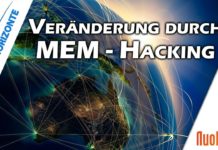 Global Mindset und MEM-Hacking – Dr. Hans Hein