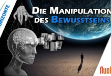 Manipulation im Kollektiven Bewusstsein – Egregoriale Strukturen – Viktor Heidinger