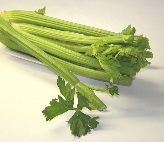 Selleriesaft – das Wunderheilmittel