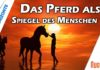Pferde als Lehrer und Spiegel des Menschen – Annette Asmus-Budny