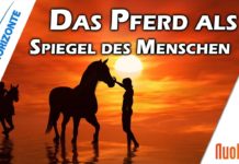 Pferde als Lehrer und Spiegel des Menschen – Annette Asmus-Budny