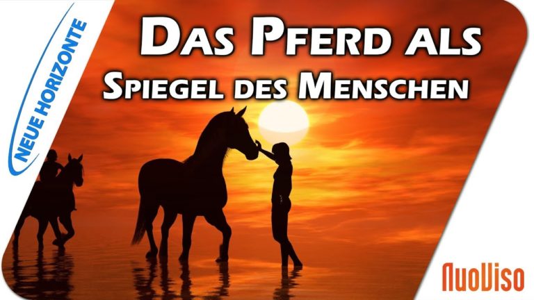 Pferde als Lehrer und Spiegel des Menschen – Annette Asmus-Budny