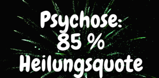 Das Wichtigste rund um den “Open Dialog” – ein Ansatz zur Behandlung von Psychosen mit einer Heilungsquote von 85 %