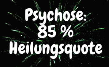 Das Wichtigste rund um den “Open Dialog” – ein Ansatz zur Behandlung von Psychosen mit einer Heilungsquote von 85 %