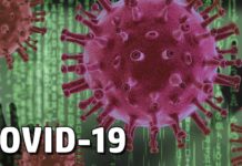 Corona-Krise – Eigenverantwortung ist die Lösung!