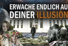 Erwache endlich aus deiner Illusion! – Ellen Michels