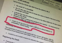 Bildung, Intelligenz und Dummheit in Zeiten von Geoengineering, Klimakontrolle, Chemtrails, Fracking und Corona!