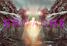 Maskentragen nein danke! Orgonfeld in der neuen Firma