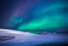 Orgonenergie ist der Antrieb unseres Seins!