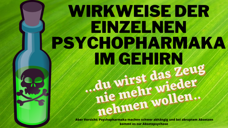 Wirkweise der einzelnen Psychopharmaka im Gehirn – die pure Vergiftung?