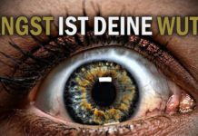 Angst ist deine Wut! – Gopal Norbert Klein