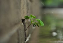 Ich lüfte das Geheimnis meiner Vitalität!