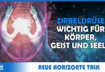 Zirbeldrüse und Visionen – Elisabeth Westermann