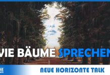 Wie Bäume sprechen – Imme Demos