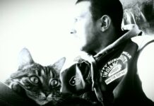 NWO! Die neue Normalität verhindern!