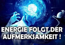 Achtung Fallen! – Die Energie der Aufmerksamkeit – Alexander Przibill