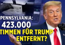 US Wahl – Datenanalyst: Mehr als 423.000 Trump-Stimmen entfernt | Wahlbeobachterin: „Es zerreißt mir das Herz“