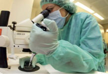 H5N1 antwortet nicht – Auf der Suche nach dem Killervirus