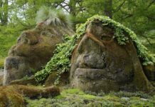 Die Entzauberung der Welt