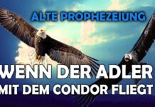 Inka-Prophezeiung: Wenn der Adler mit dem Kondor fliegt – Lorena Kuyay