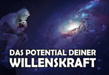 Du hast den Freien Willen – Christiane Hansmann