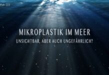 Mikroplastik im Meer: Unsichtbar, aber auch ungefährlich?