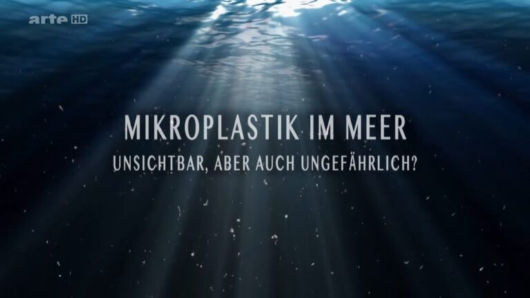 Mikroplastik im Meer: Unsichtbar, aber auch ungefährlich?