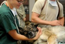 „Verschwörungstheorien“ und andere Wahrheiten