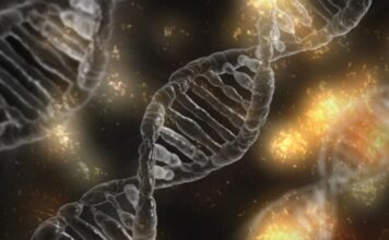 Können wir unsere Gene verändern?