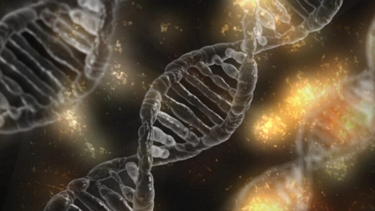 Können wir unsere Gene verändern?