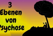 Wie du deine Psychosen verstehst, indem du deren 3 Ebenen erkennst