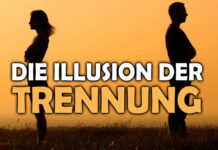 Die Illusion der Trennung – Robin Kaiser