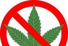 Warum Cannabis nicht legalisiert wird – Die geheimen Tricks der Pharmaindustrie