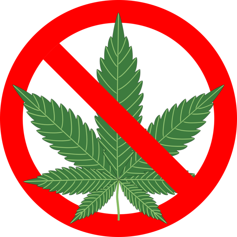 Warum Cannabis nicht legalisiert wird – Die geheimen Tricks der Pharmaindustrie