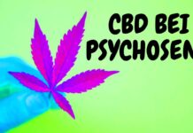 CBD bei Psychose? Legal kiffen und dabei deine Psychose heilen? (meine Erfahrung)
