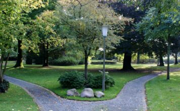 Die Spaltung der Menschheit