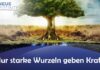 Nur starke Wurzeln geben Kraft!