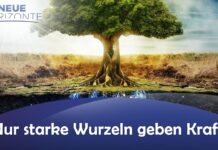 Nur starke Wurzeln geben Kraft!
