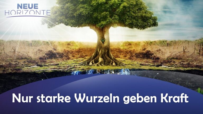 Nur starke Wurzeln geben Kraft!