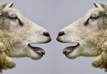 Gedanken zur aktuellen Lage – August 2021