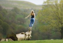 Hengst & Herzer Spirituelle Lebenswirklichkeit – „Persönlichkeitskonstrukte“