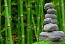 Hengst & Herzer Spirituelle Lebenswirklichkeit – Was ist Spiritualität?