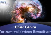 Unser Gehirn – Tor zum kollektiven Bewußtsein – Harald Leng