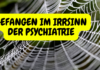 Der Fall des Peter Schwarz – ein Zeugnis des Versagens des Psychiatriesystems