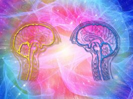 Das Milgram Experiment