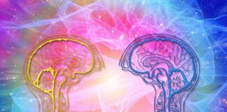 Das Milgram Experiment