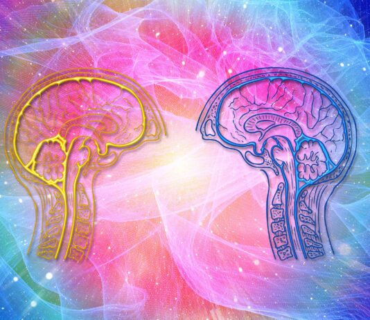 Das Milgram Experiment